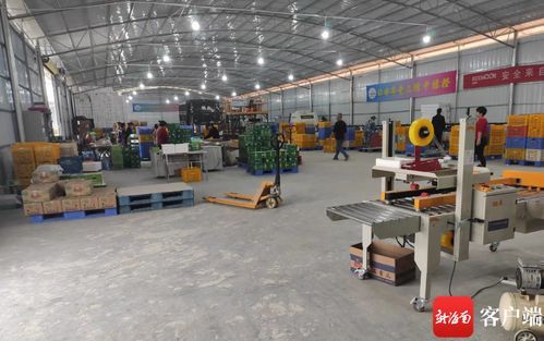 瓊中綠橙產(chǎn)業(yè)數(shù)字化轉(zhuǎn)型 數(shù)據(jù)化分選工廠與赤壁企業(yè)網(wǎng)站建設(shè)雙輪驅(qū)動(dòng)，實(shí)現(xiàn)產(chǎn)業(yè)增效與穩(wěn)定就業(yè)雙豐收